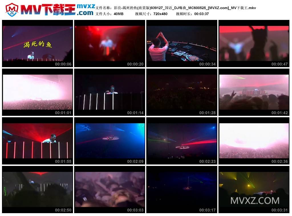 彭亮-渴死的鱼(欣赏版)939127_国语_DJ嗨曲_MC600525